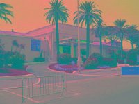 IMGP2738 edited (Medium)